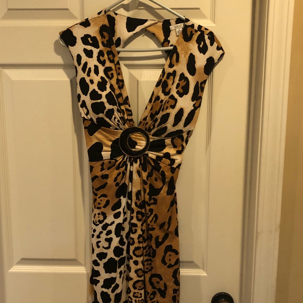 Leopard print Cache’ dress